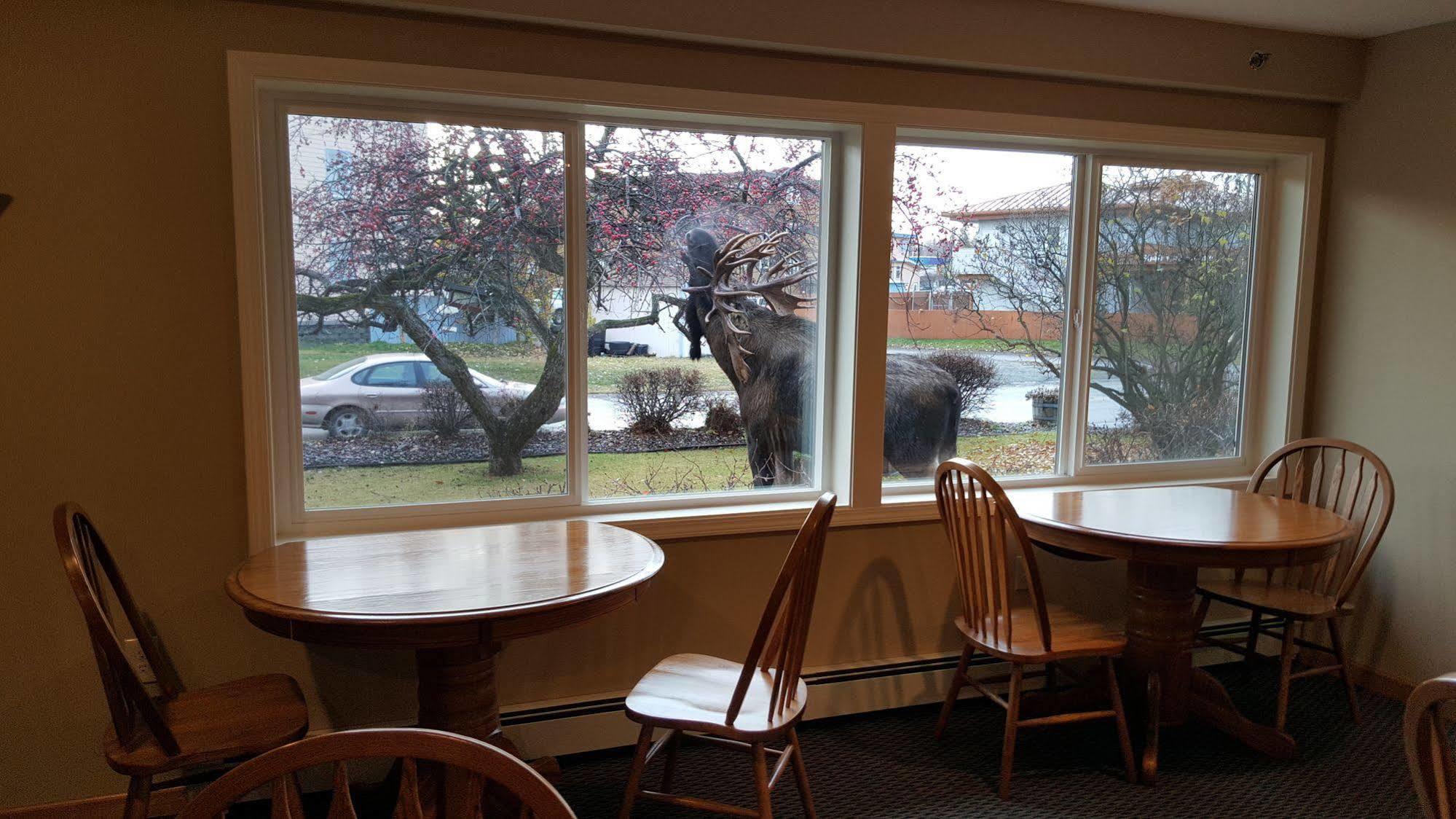 Lakeshore Inn & Suites Anchorage Exterior foto